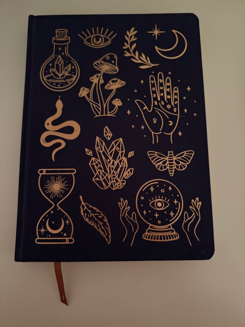 Book Bundle: Moonlight Gratitude by Emily Silva & Blank Journal - 2 Item Lot - Picture 15 of 16